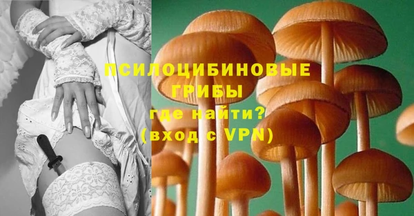 скорость Бородино